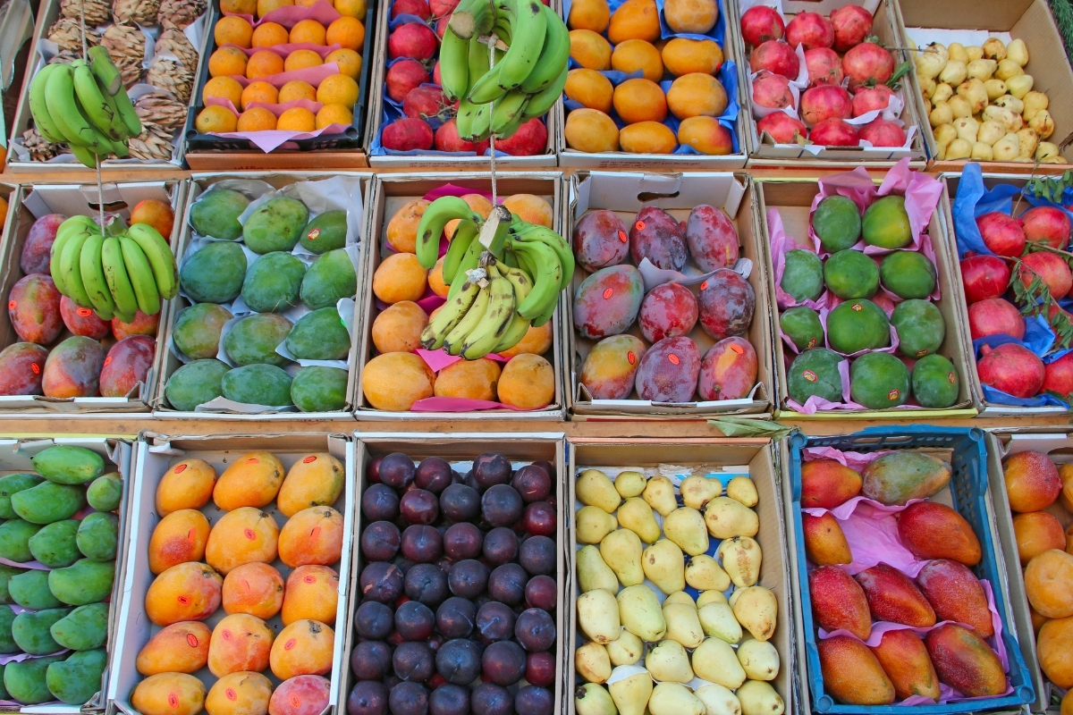 TÜİK’in 2025 Tahıl, Sebze ve Meyve Üretimi Tahminleri: 2025’te Bitkisel Üretim Yüzde 30 Azaldı