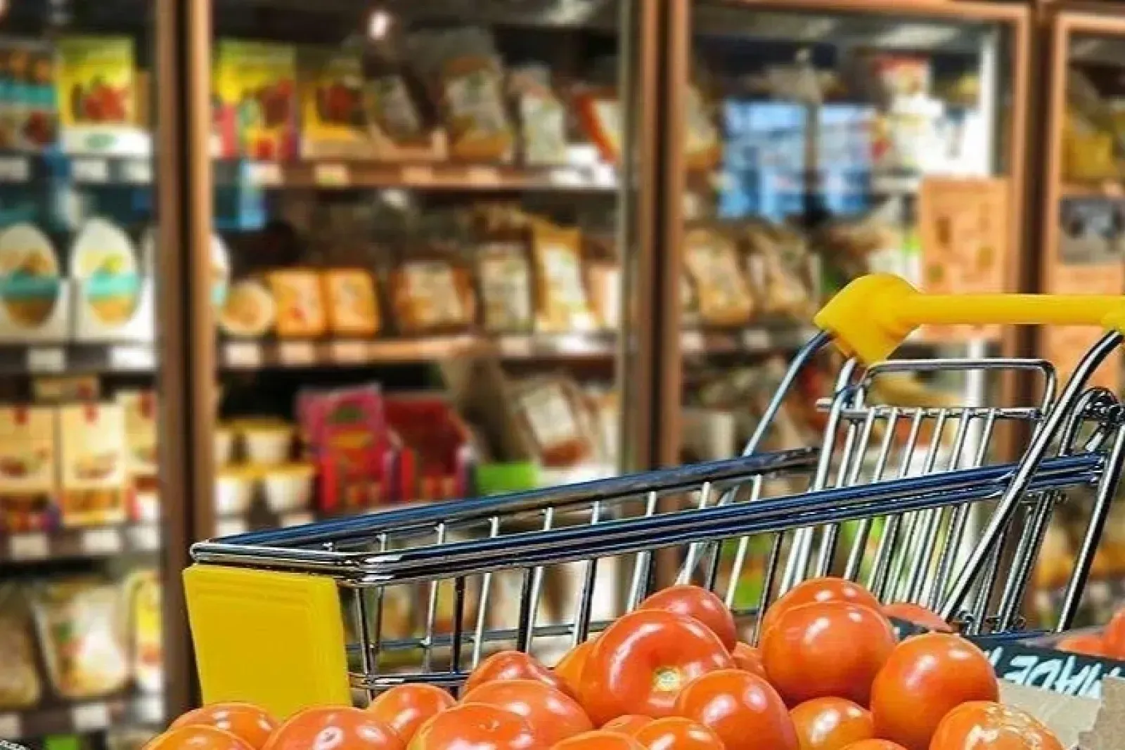 Tüketici Güven Endeksi Ekim 2025’te 83,6’ya Geriledi