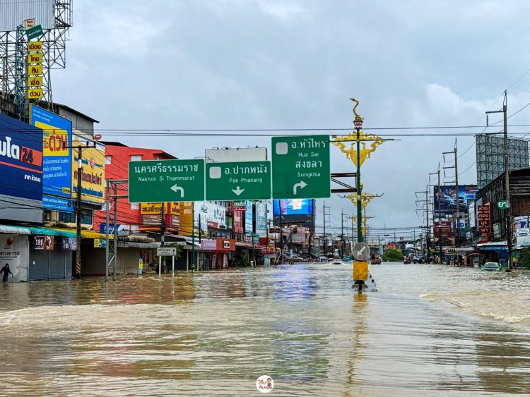 Güney Tayland’ı Vuran Tarihi Sel: 30 Yenidoğan Bebek Tehlikede, Ölü Sayısı 19’a Ulaştı