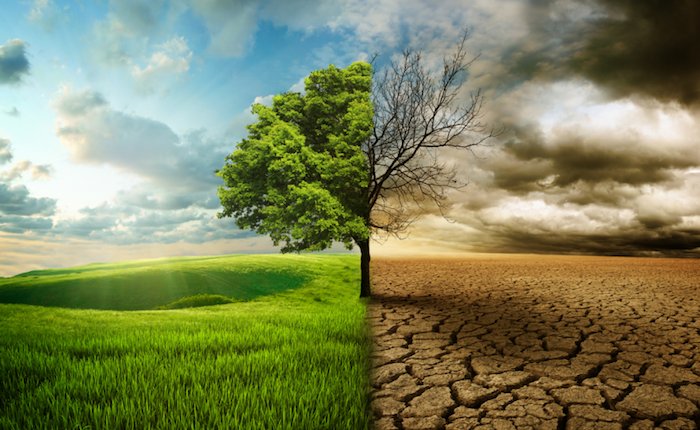 TÜİK Açıkladı: Çevre Koruma Harcamaları 2024’te Yüzde 108 Arttı, 441 Milyar TL’ye Ulaştı!