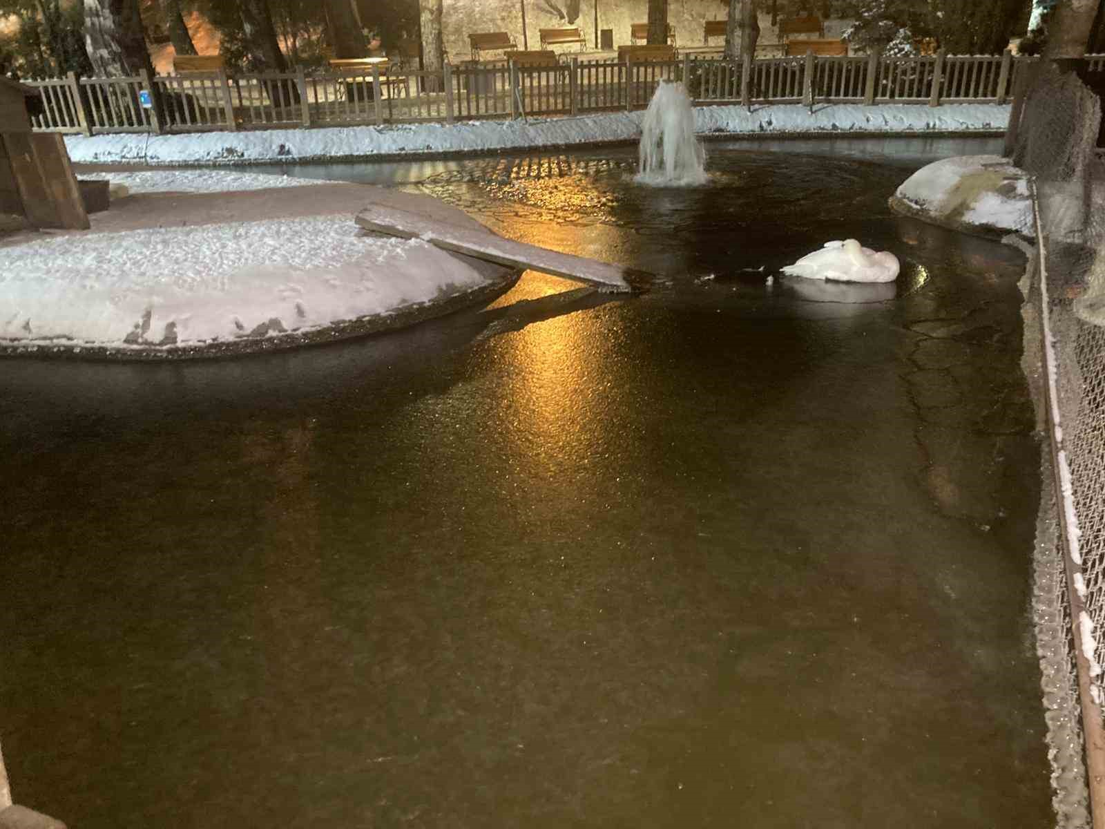 Ankara Donuyor: Kar Sonrası Sıcaklık -11 Dereceye Düştü, Kuğulu Park Buz Tutu