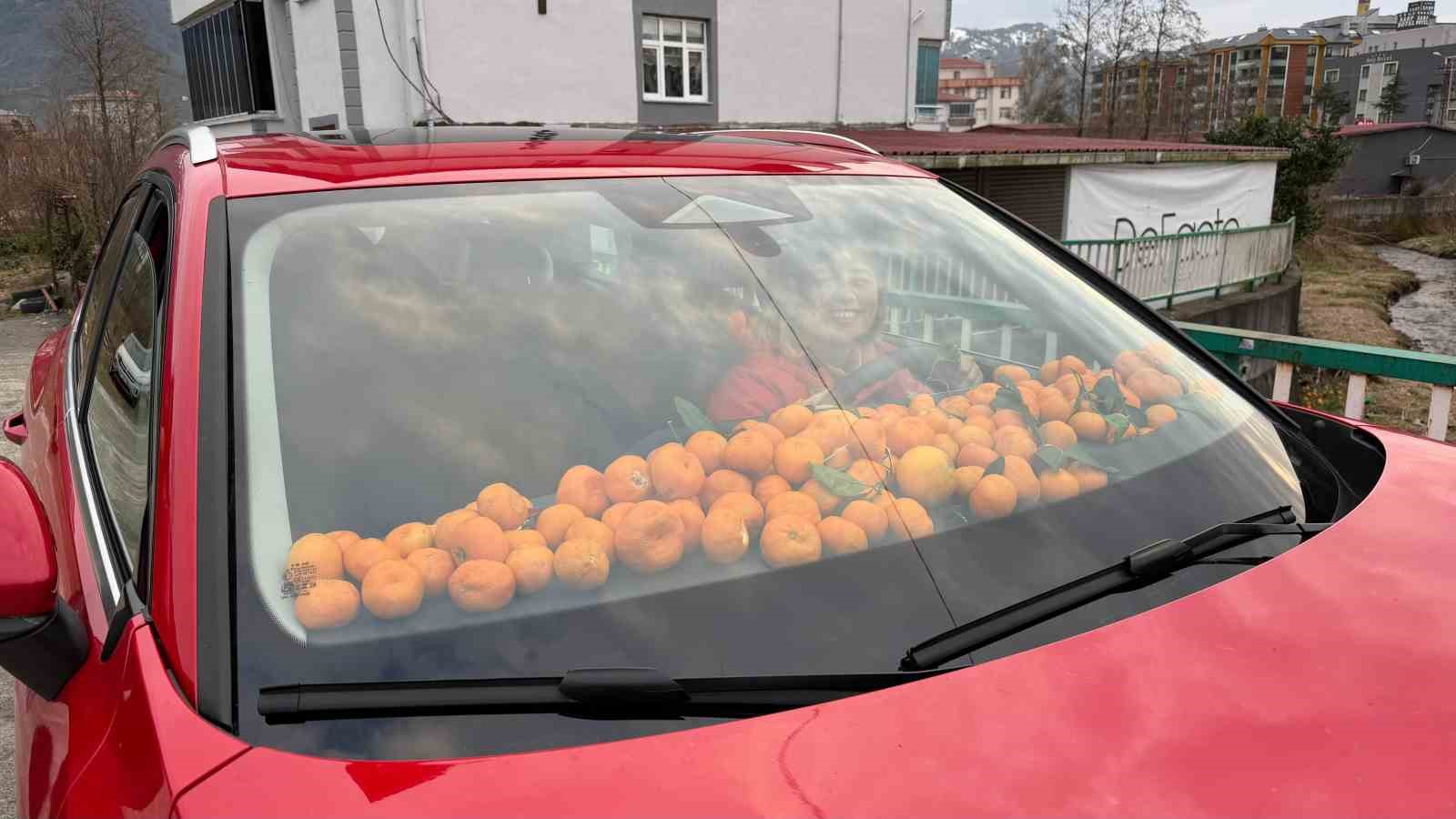 Artvin’de Mandalina Bereketi Torpidoya Taştı