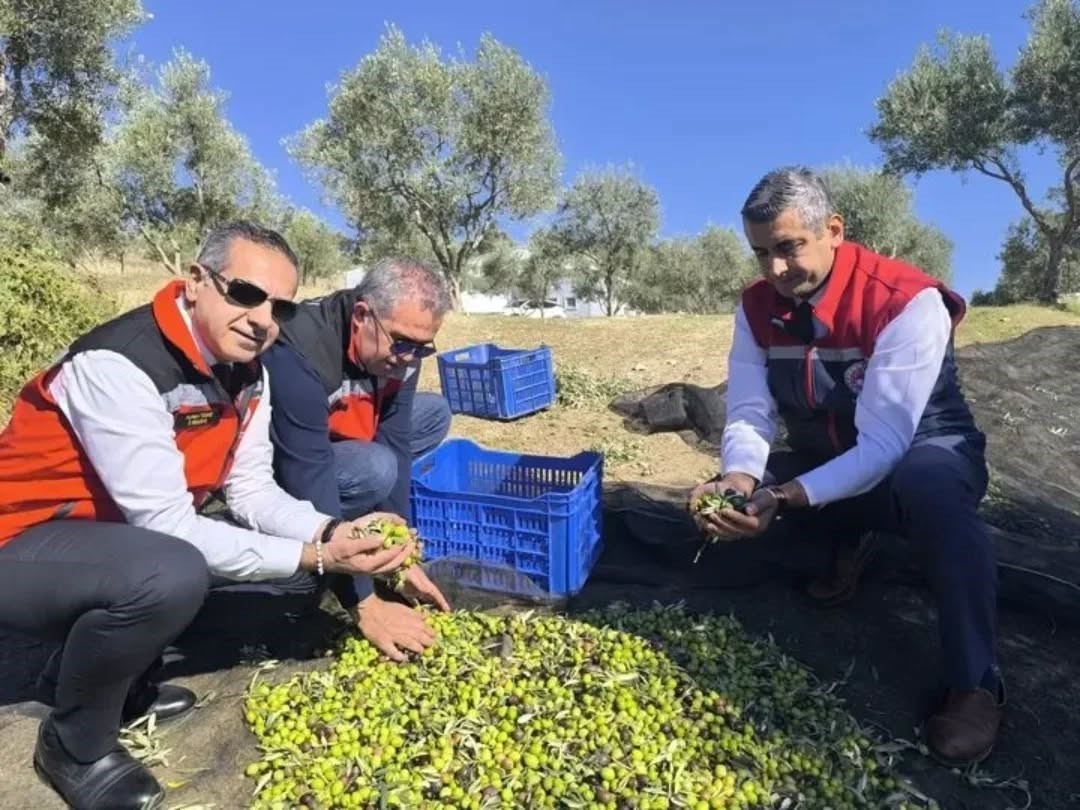 Aydın’da Bir Yılda 3 Bini Aşkın Tarımsal Denetim Yapıldı