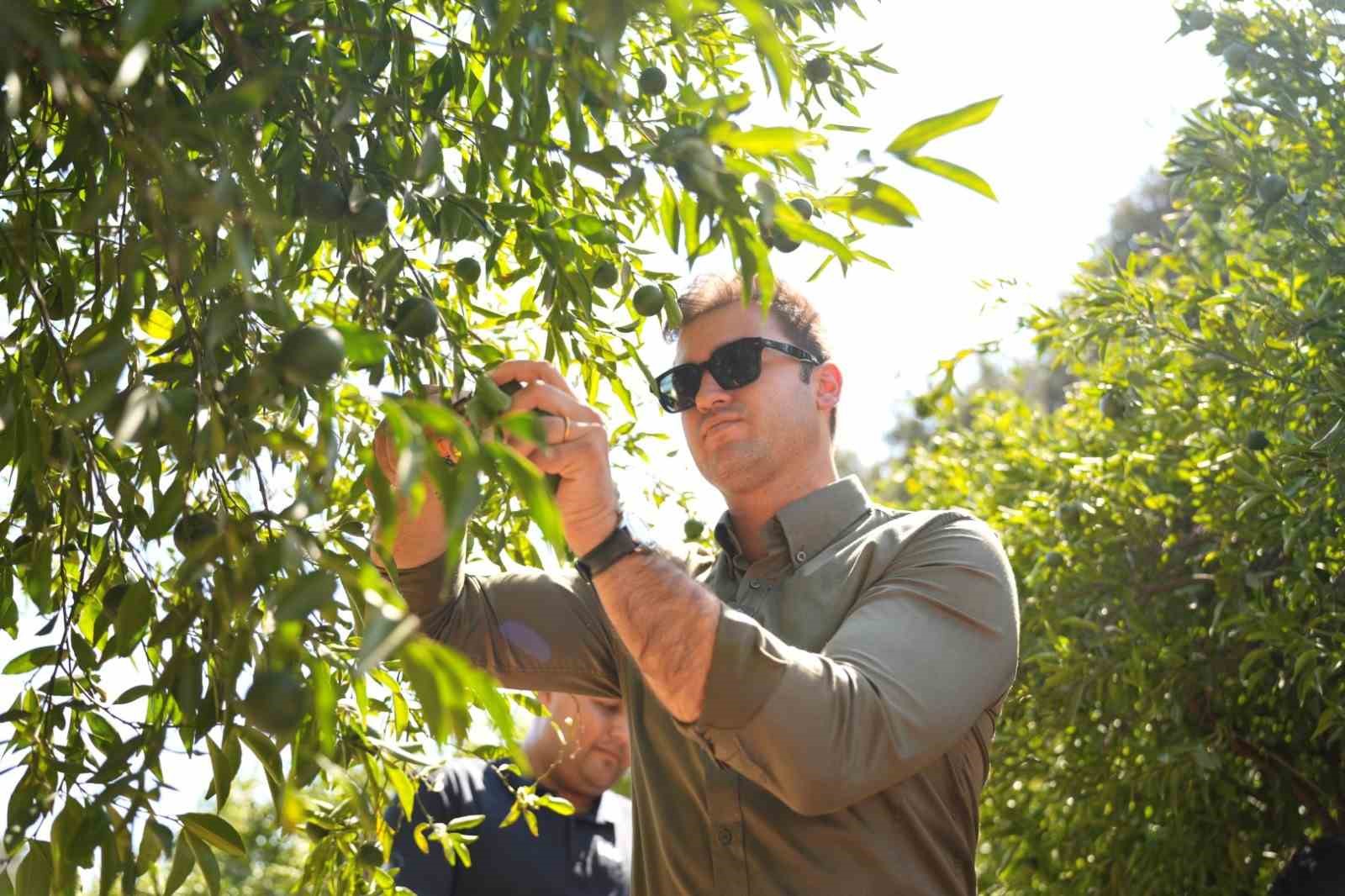 Bodrum Mandalini Türkiye’nin Dört Bir Yanına Ulaşıyor