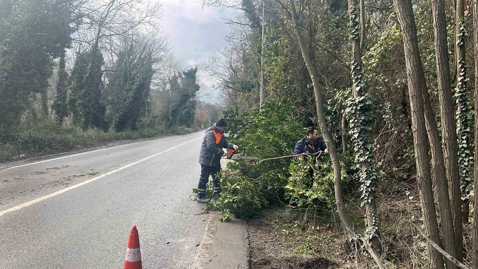 İstanbul İçin Lodos Uyarısı: Kuvvetli Fırtına Etkili Olacak
