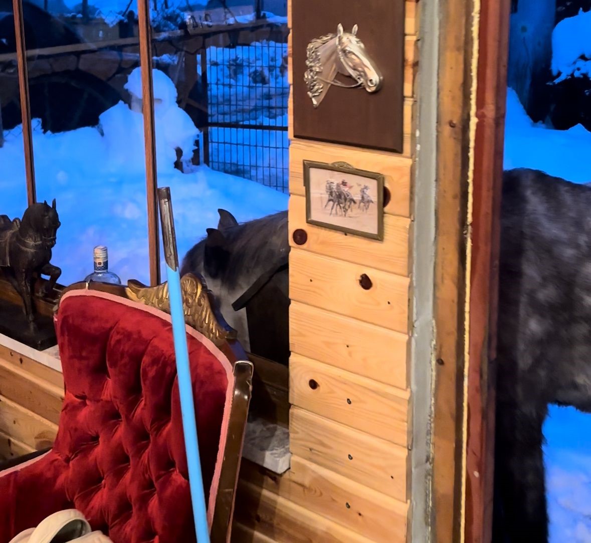 Yabani Yılkı Atları Evine Kadar Geldi, Ortaya Samimi Anlar Çıktı: “Hoş Geldiniz”