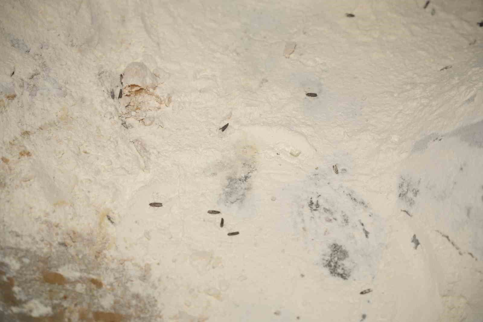 Yenişehir Belediyesi’nden Yesaş’a Hijyen Cezası