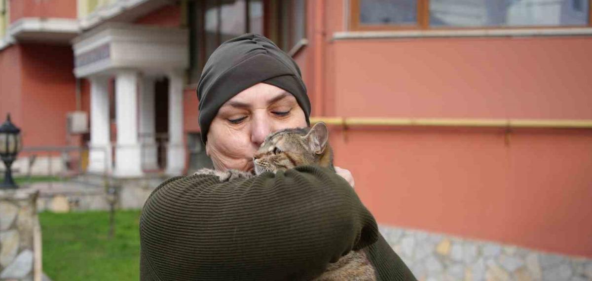20 Yıldır Sokak Kedilerine Annelik Yapıyor: “Sadece Sevgi İstiyorlar”