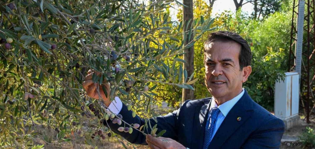 Antalya Zeytinyağını Markalaştıracak 30 Öneri