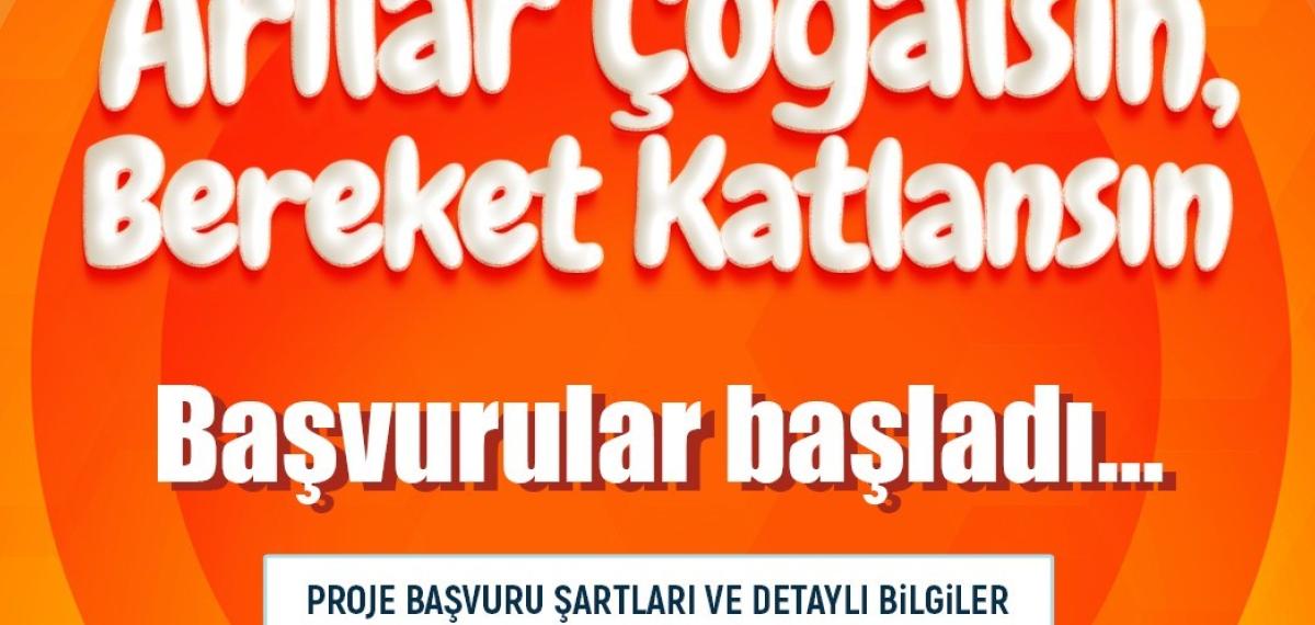 ’Arılar Çoğalsın, Bereket Katlansın’ Projesine Başvurular Başladı