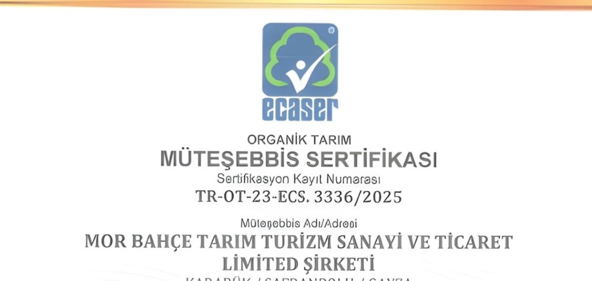 Bakka Destekleriyle Safran Üretiminde Organik Üretime Geçildi