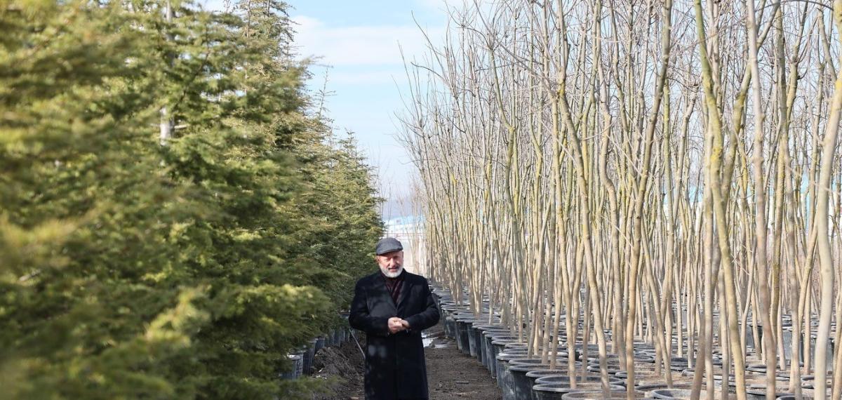 Başkan Çolakbayrakdar: “Şehrin Yeşil Geleceğini Kocasinan’da İnşa Ediyoruz”