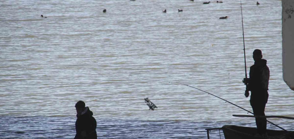 Beyşehir Gölü Hafif Canlandı, Oltalar Yeniden Tatlı Sulara Bırakıldı