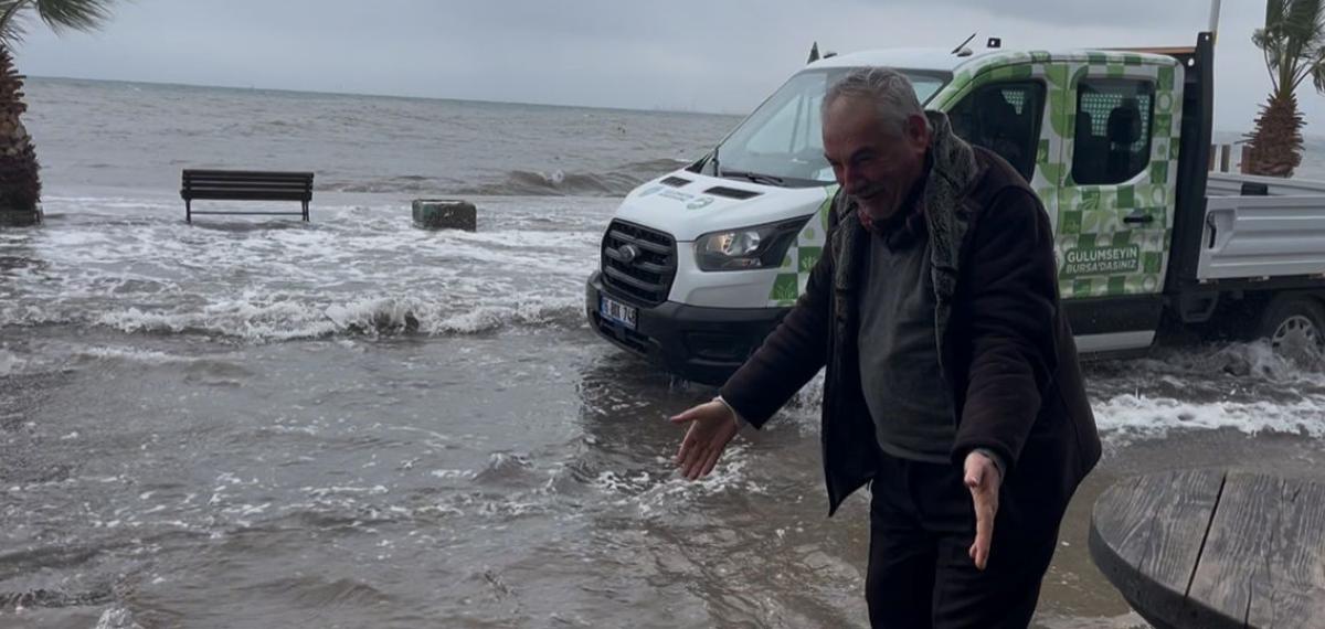 “Birazdan Balıklar Gelir” Dedi, Kuşlar Sahil Yolunda Avladı