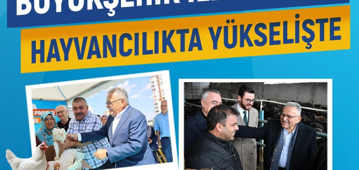 Büyükşehir ile Kayseri, Hayvancılıkta Yükselişte