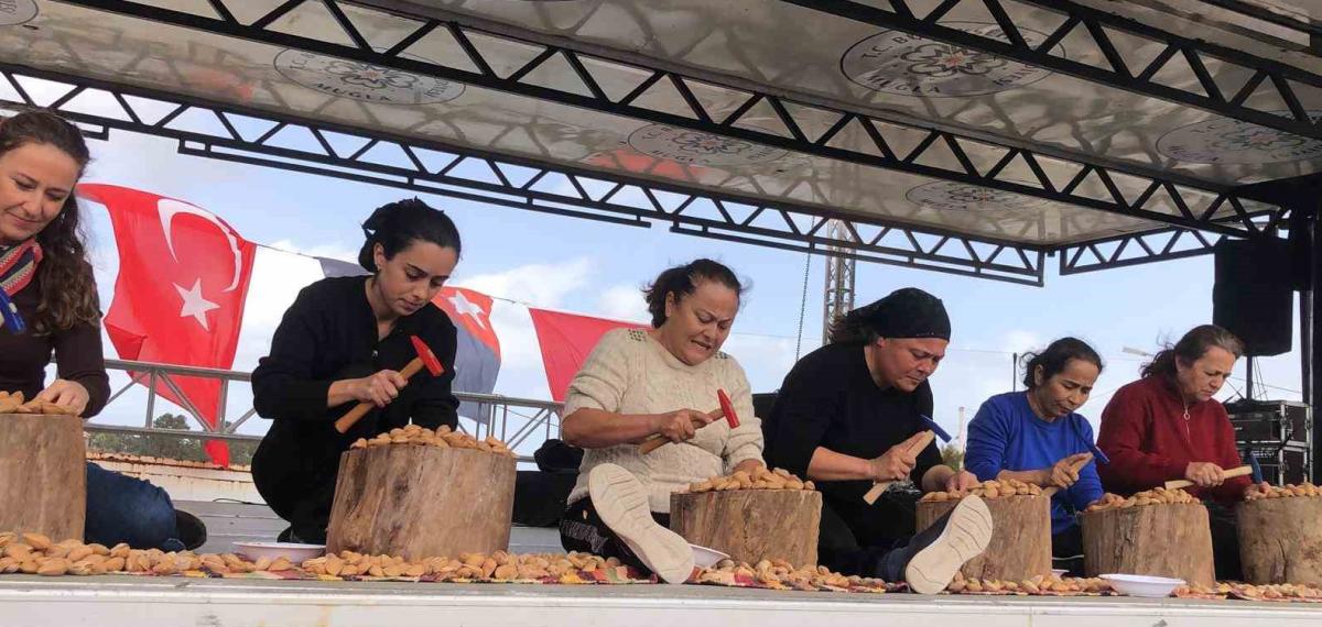 Datça 7. Badem Çiçeği Festivali Sona Erdi