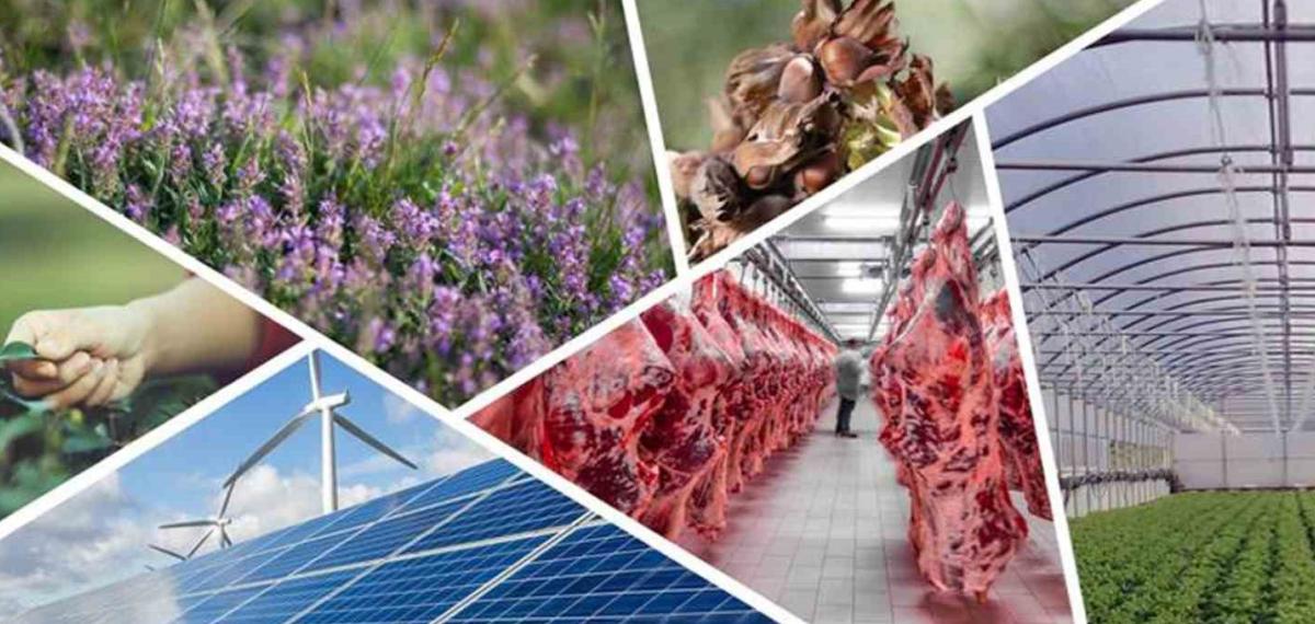 Denizli’de Tarımsal Kalkınmaya 82 Milyonluk Hibe Desteği