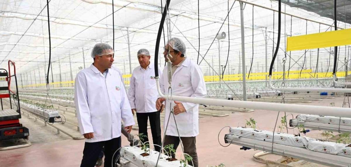 Denizli’nin 2025 Bitkisel Üretim Tablosu Yüz Güldürdü