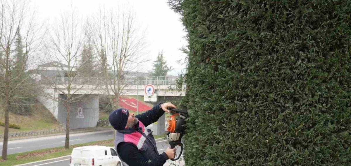 Düzce’de Bahar Hazırlıkları Başladı