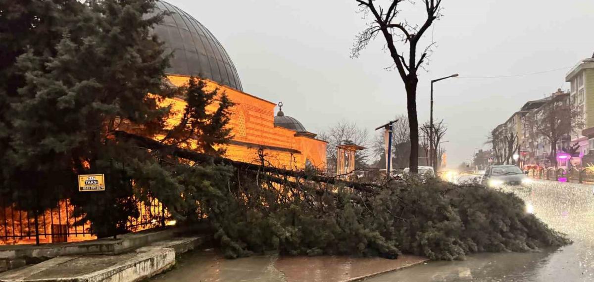 Edirne’de Fırtına Ağaçları Devirdi