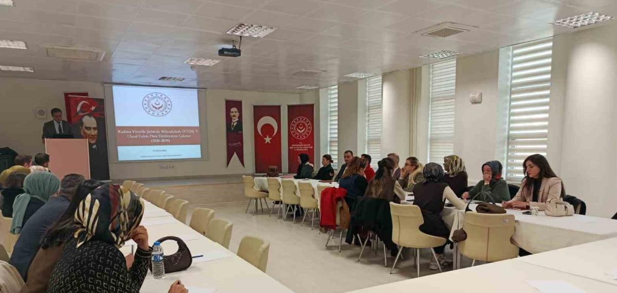 Gümüşhane’de Kadına Yönelik Şiddetle Mücadele Çalıştayı Düzenlendi