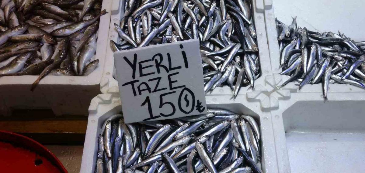 Hamsi Bu Defa Şaşırttı: Tezgahlar Yeniden Şenlendi