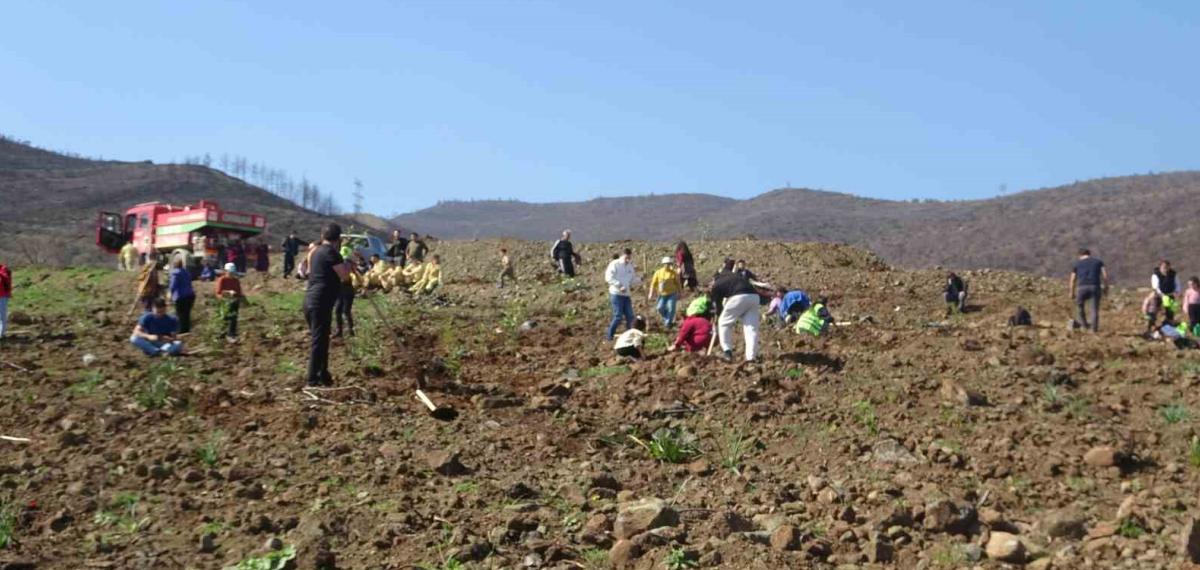 Hatay’da Orman Yangınından Zarar Gören Alanlarda 5 Bin Fidan Toprakla Buluşturuldu