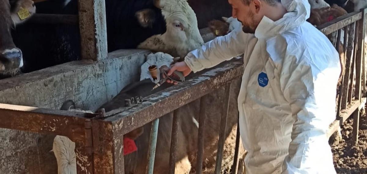 Hayvan Sağlığı Güvence Altına Alınıyor