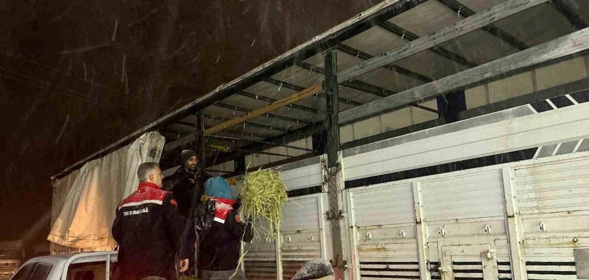 Hayvanlar Aç Kalmasın Diye İmdada Yetiştiler