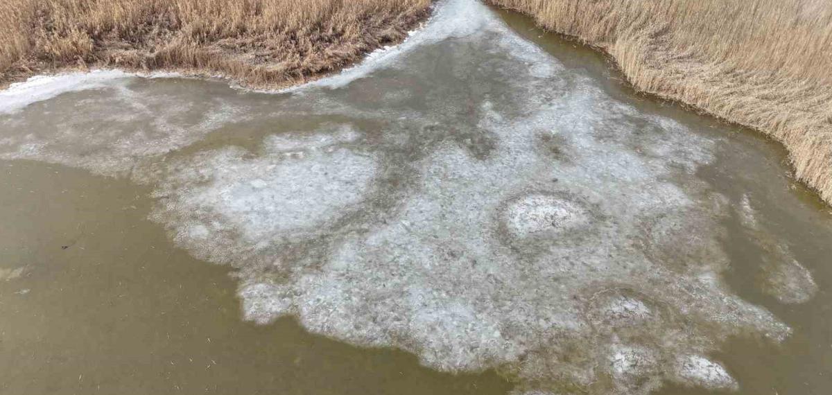 Iğdır’da Donan Karasu Sazlığı’nda Buzlar Eriyor