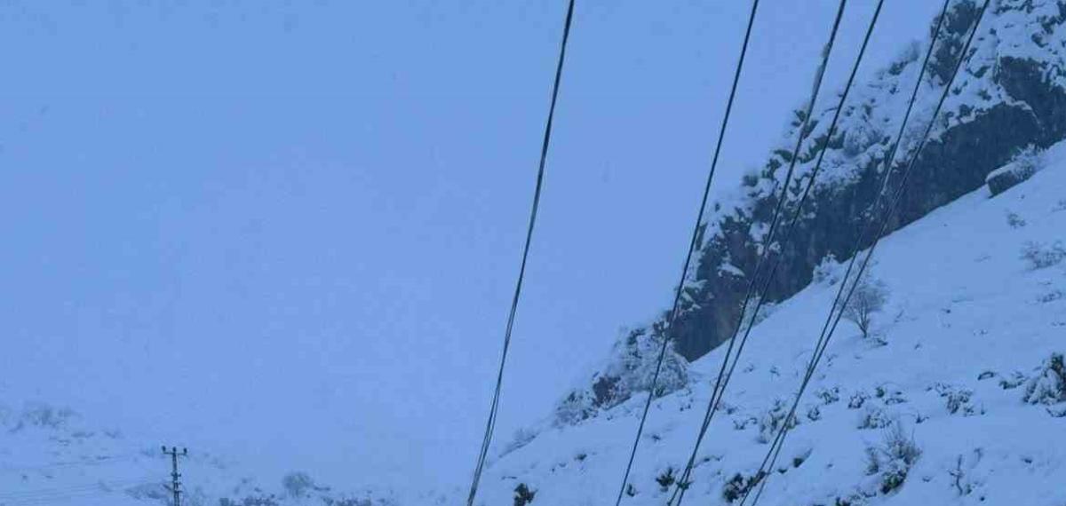 Kar Yağışı Nedeniyle Devrilen 300 Elektrik Direği Yenilendi