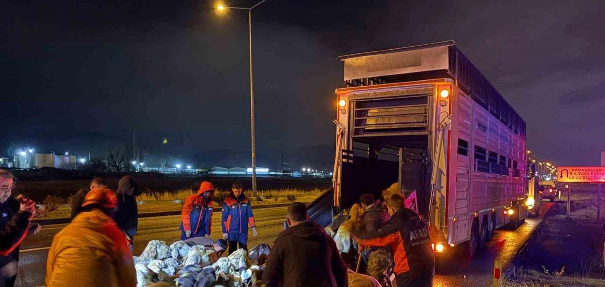 Kayseri’de Taşkın Riski: 200 Hayvan Tahliye Edildi