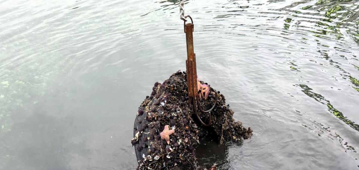 Kocaeli’de Deniz Dibinden 50 Lastik Çıktı