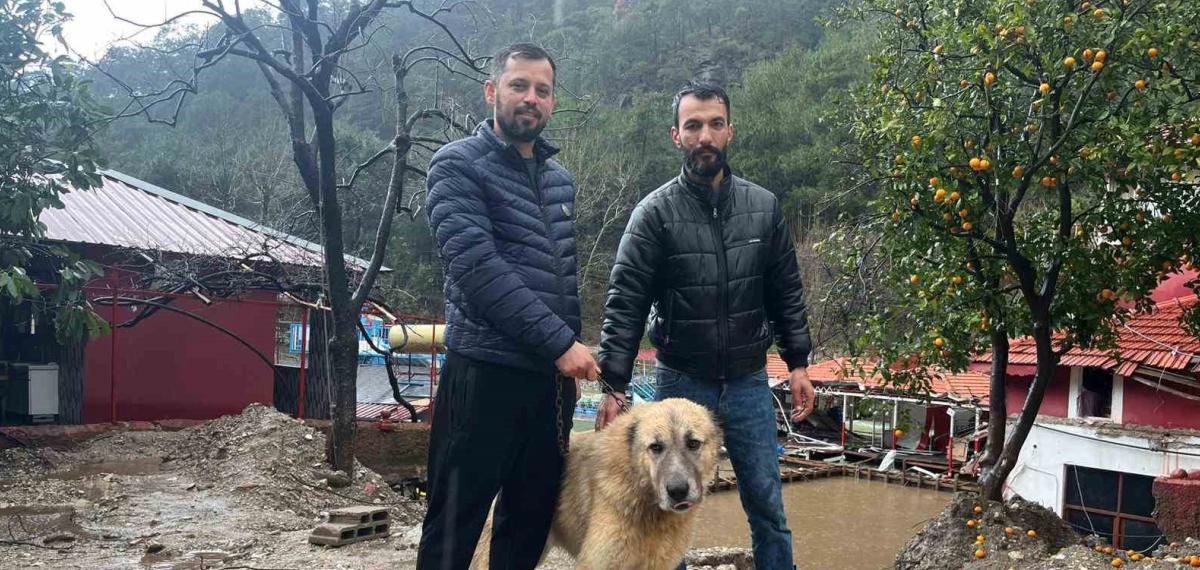Köpeğini Sel Sularından Kurtaran Sahibi O Anları Anlattı