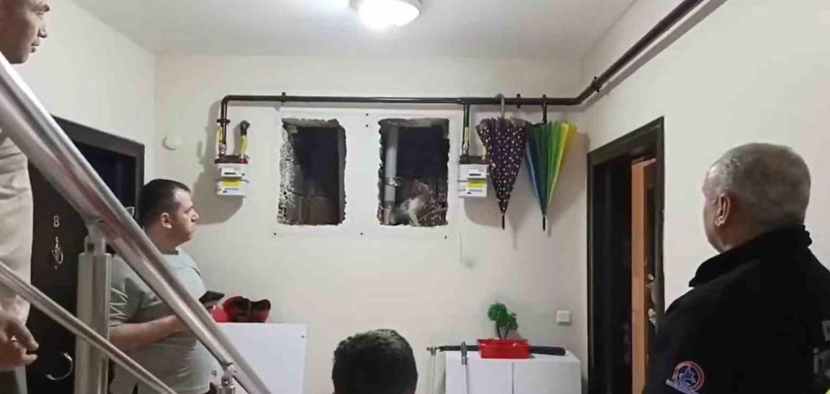 Küçük Yaser Kaan’ın Dikkati Kediyi Kurtardı