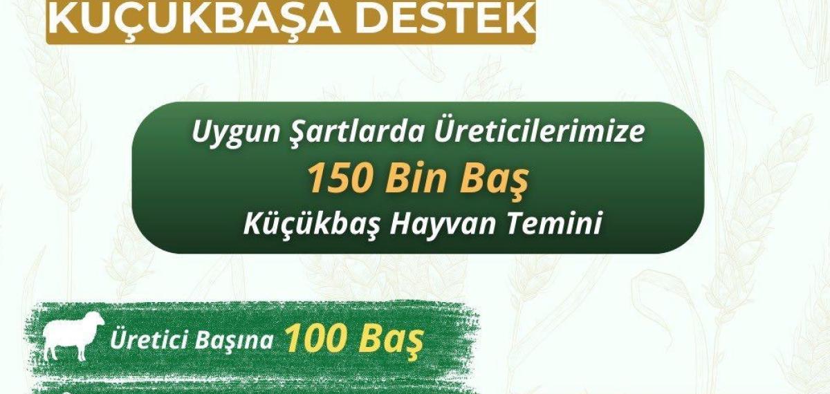 Küçükbaş Üreticilerine “Kırsalda Bereket” Projesi Başlıyor