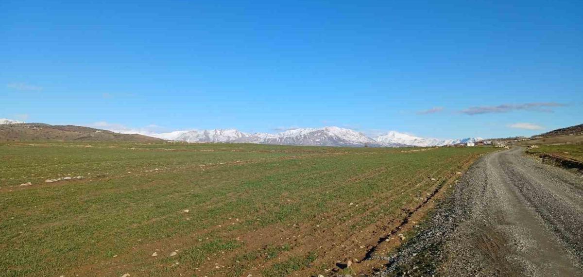 Kulp’ta Yağışlar Çiftçinin Umudu Arttı