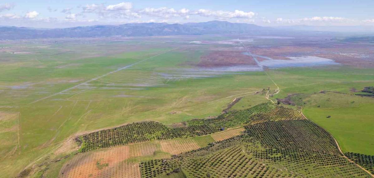 Kuruyan Marmara Gölünde Umutlandıran Görüntü