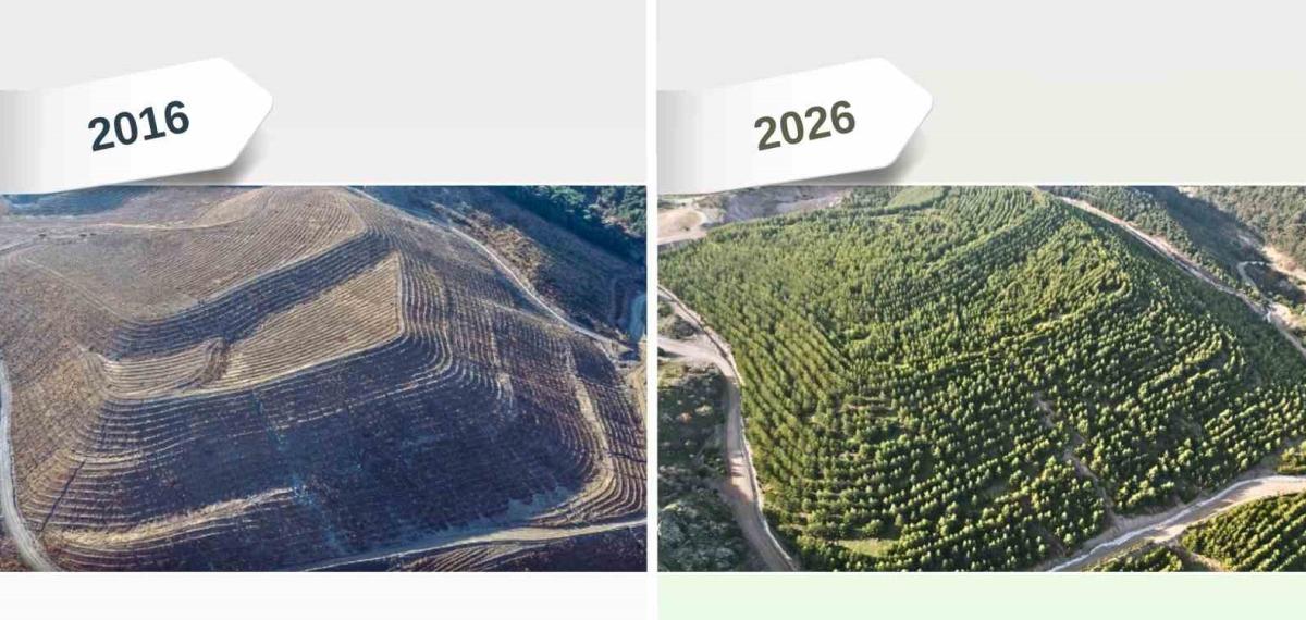 Maden Sahaları Rehabilitasyonla Yeniden Yeşeriyor