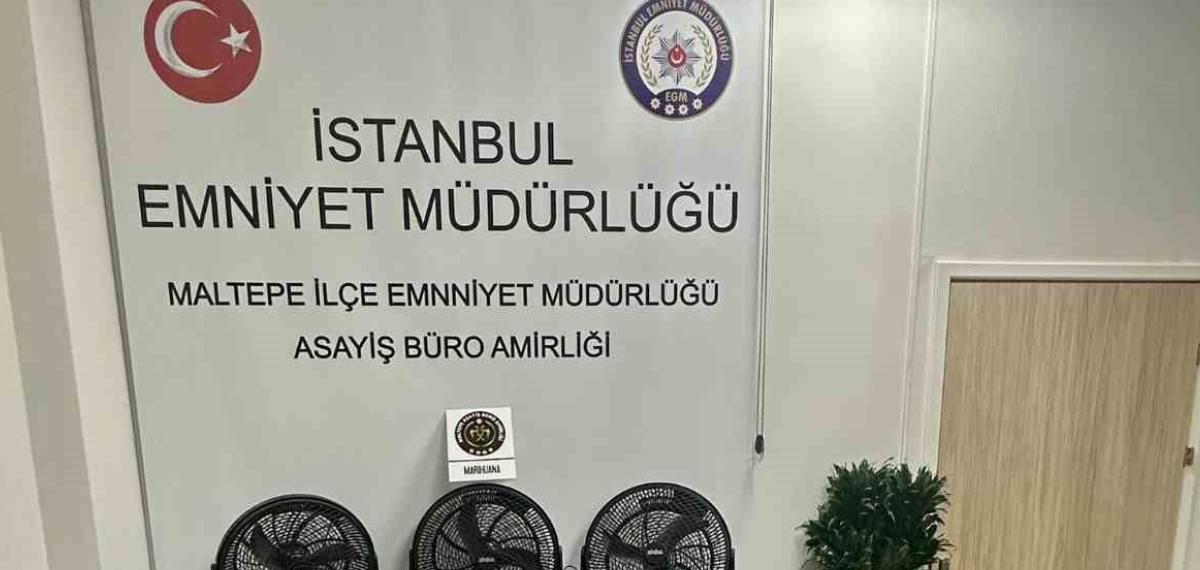 Maltepe’de Bir Uyuşturucu Serası Dronla Tespit Edildi: 3 Gözaltı