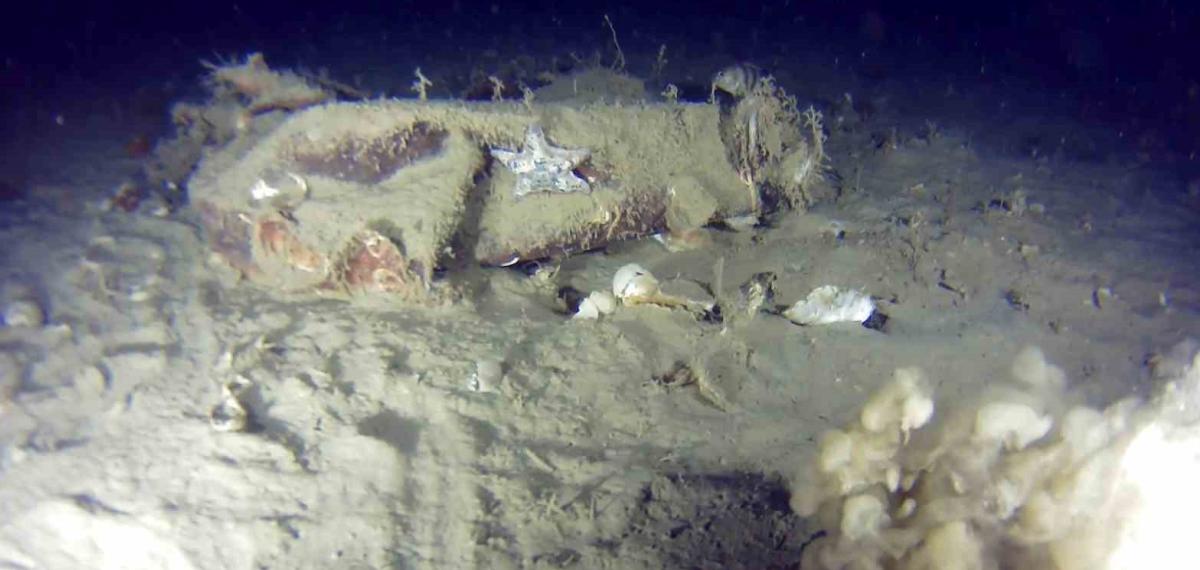 Marmara Denizi’ne 51 Yıl Önce Düşen THY Uçağına Ait Yeni İzler Bulundu