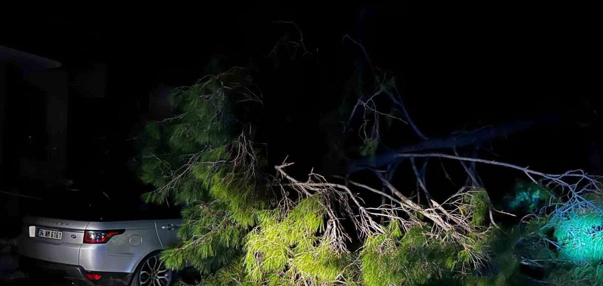 Marmaris’te Fırtına Ağaç Devirdi: 1 Kişi Yaralandı