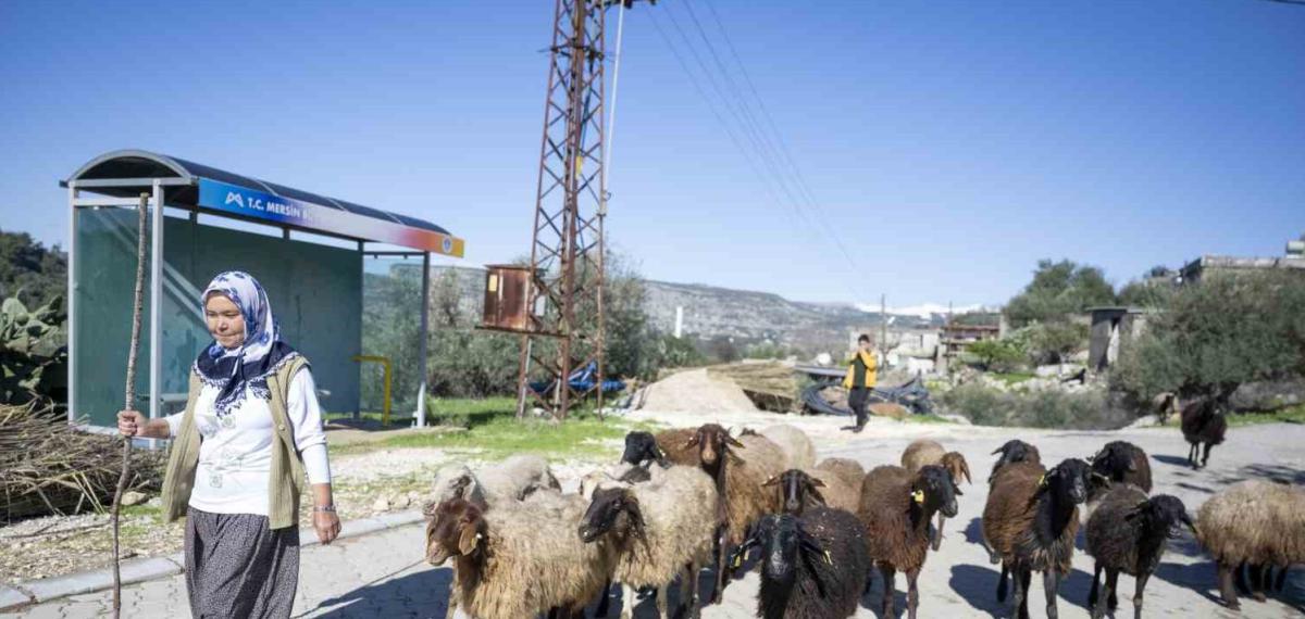 Mersin’de 360 Yetiştiriciye 9 Bin Küçükbaş Desteği