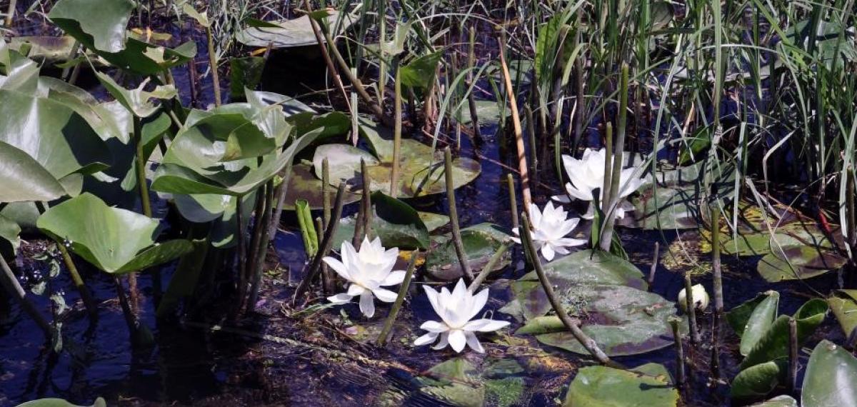 Mskü’lü Bilim İnsanlarından Kozmetik Sektöründe Uluslararası Başarı