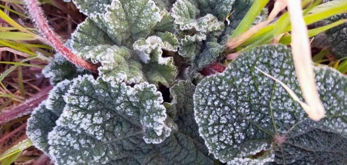 Muğla 5 Gün Soğuk Havanın Etkisinde Olacak