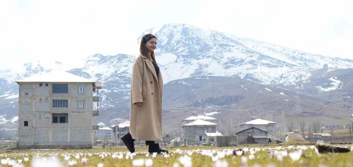 Muş Ovası’nda Baharın Habercisi Çiğdemler Açtı