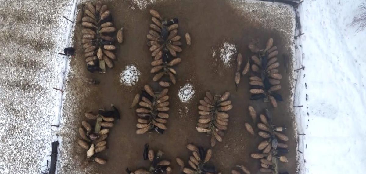 Muş’ta Devlet Desteğiyle Hayvan Sayısı Arttı