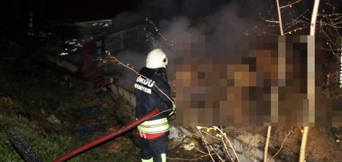 Ordu’da Ahır Yangını: 27 Büyükbaş Hayvan Telef Oldu