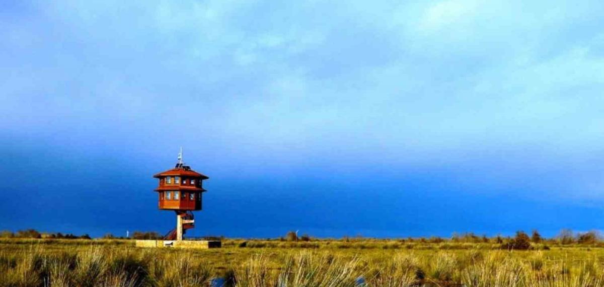 Samsun’da Tabiat Parklarını 186 Bin 271 Kişi Gezdi