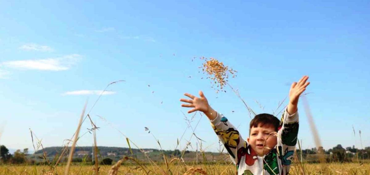 Samsun’da Tarımsal Üretime 6 Milyara Yakın Destek Ödemesi Yapıldı
